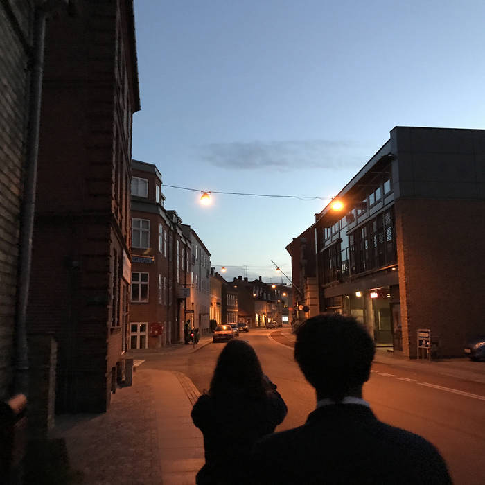 The cover of The night with Golding - picture of us watchign the dawn in Copenhagen